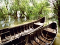 Barci din Delta Dunarii